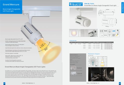 Grand Mercure Beam Angle Changeable Track Light & Ceiling spotlight