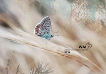 SPRING WALLPAPER COLLECTION 2024