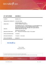 informe_Verea_espuma_pistola - 2