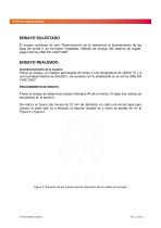 informe_Verea_espuma_pistola - 6