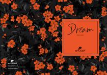 Dream