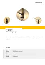 TORSO