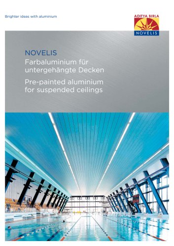 Ceiling and Roof Windows:Pre-painted Aluminum for Suspended Ceilings