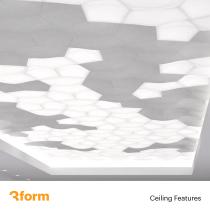 Ceiling Features