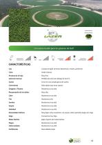 novo green - 10