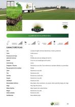 novo green - 11
