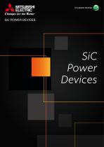 SiC POWER DEVICES