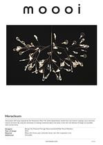 Heracleum