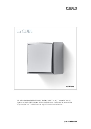 LS CUBE