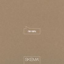 COMPANY PROFILE SKEMA I'M 100% NOV 2017