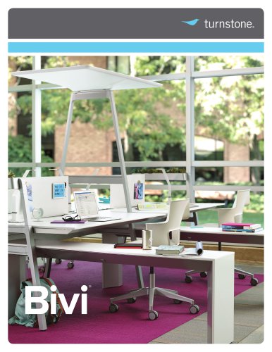 Bivi