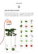 LLG Chlorophyll - 4