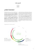 LLG Chlorophyll - 5