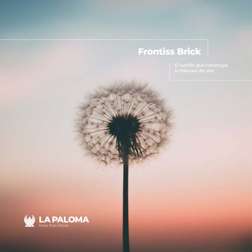 FRONTISSBRICK (FACHADA VENTILADA)