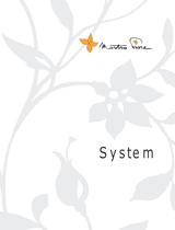 SYSTEM 2010