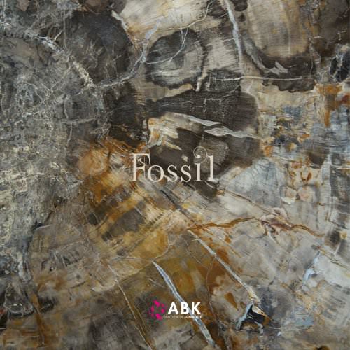 Fossil