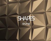 DUNE Shapes