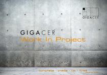 Gigacer Work in Project