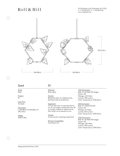 Seed 01