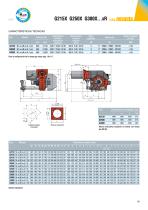 741 NOVANTA Low NOx [kW 350 ÷ 3.000] - 2